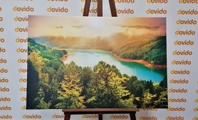 Stampa su tela – Fiume nel mezzo della foresta verde