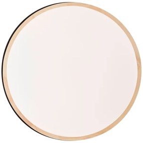 Brilliant - Plafoniera LED dimmerabile BAARLO LED/36W/230V diametro 50 cm nero + +TC