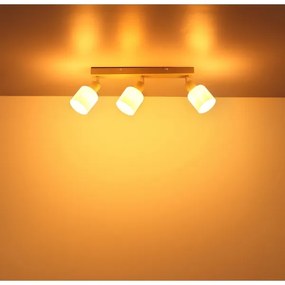 Globo 54114-3 - Faretto TRENT 3xE14/25W/230V