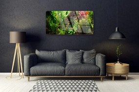 Quadro su vetro acrilico Pianta, fiori, natura 100x50 cm