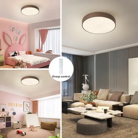 Brilagi - Plafoniera LED dimmerabile POOL LED/48W/230V 3000-6000K 40 cm marrone+telecomando