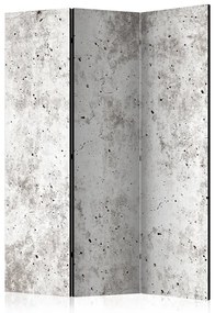 Paravento Urban Style: Concrete [Room Dividers]
