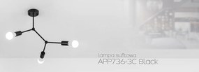 LAMPADA DA SOFFITTO NERA  METALLO LOFT APP736-3C Black