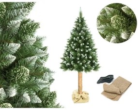 Albero di Natale su tronco 180 cm pino