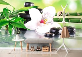 Carta da parati – Orchidea giapponese