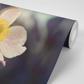 Carta da parati – Delicatezza del fiore