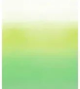 Wandbild Savoie von Designers Guild - Lemongrass