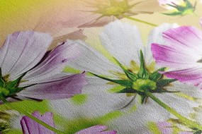 Quadro su tela – Fiori estivi