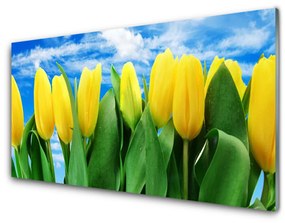 Quadro su vetro acrilico Fiori di tulipani 100x50 cm