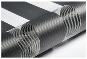 Tenda a pacchetto giorno/notte grigio scuro 42,5x150 cm Zebra – Gardinia