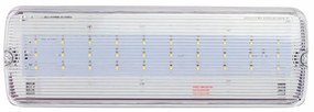 Lampada Emergenza LED da Soffitto o Parete IP65 Colore Bianco Freddo 6.000-6.500K