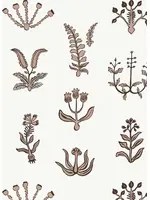 Josephine Munsey Carta da parati Floral Spot - Ham Pink/ Chimney/ Ceiling White