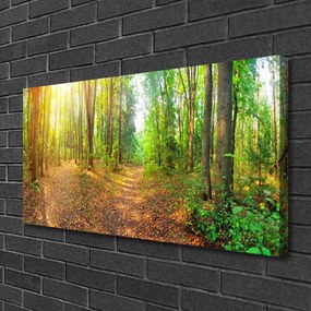 Quadro su tela Alberi della natura della foresta 100x50 cm