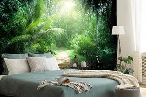 Carta da parati autoadesiva – Sentiero sull'isola Seychelles
