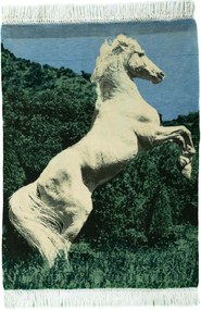 Tabriz Tappeto persiano 80 x 60 (Iran) Annodato A Mano