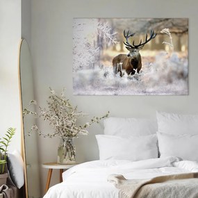 Quadro Deer in the Cold