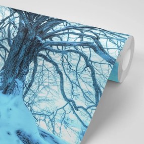 Carta da parati – Arrivo dell'inverno
