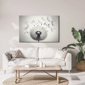 Quadro su tela – Soffione bianco e nero