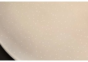 Rabalux 71106 - Plafoniera LED VENDEL LED/24W/230V 4000K 37 cm