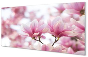 Quadro vetro Alberi di magnolia 100x50 cm