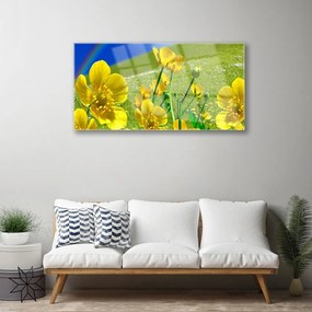 Quadro su vetro acrilico Prato, fiori, arcobaleno, natura 100x50 cm