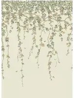 Cole & Son Carta da parati Hummingbirds Flora - Multi/ Old Olive on Eau Du Nil
