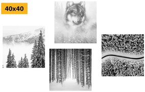 Set di quadri – Lupo nel bosco misterioso in bianco e nero