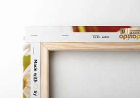 Stampa su tela – Margherite magiche