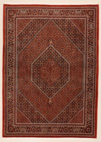 Bidjar Tappeto 240x170 (Iran) Annodato A Mano