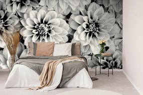 Carta da parati – Fiori di dalia in bianco e nero