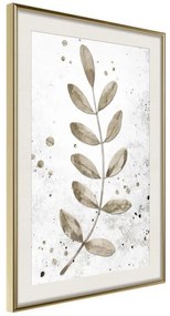 Poster  Dried Twig  Cornice Quadri Cornice d'oro con passe-partout, Larghezza x Altezza Home decor 20x30