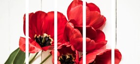 Quadri 5 pezzi – Tulipani rossi in fiore