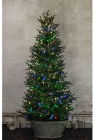 Eglo 410719 - Catena natalizia LED da esterno SERIE LED 160xLED 2m IP44 multicolore