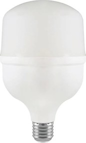 Lampadina LED T100 E27/30W/230V 6500K