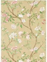 Zoffany Tapete Nostell Priory Paper - Old Gold/ Green