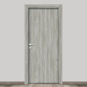 Porta battente Braque olmo grigio L 90 x H 210 cm reversibile