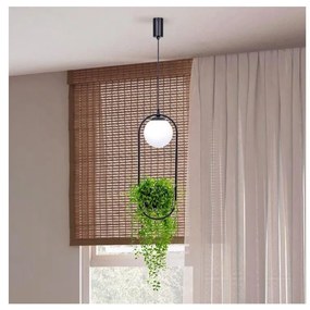 Zuma Line 5003 - Lampadario a sospensione con filo PLANT 1xE14/40W/230V nero