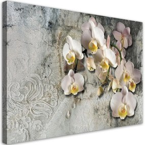 Quadro su tela, Fiori di orchidee soleggiate  Dimensioni 60x40