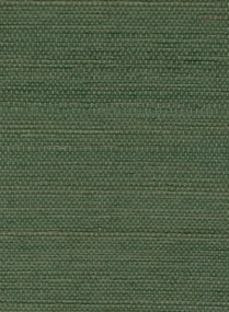 Élitis Tapete Sisal - RM 1069 62