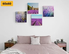 Set di quadri – Per gli amanti della lavanda
