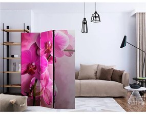 Paravento Pink Orchid [Room Dividers]