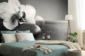 Carta da parati – Orchidea bianco e nero e pietre