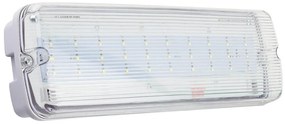 Lampada Emergenza LED S.E. da Soffitto o Parete IP65 - Serie Lux Colore Bianco Freddo 6.000K