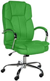 Sedia Ufficio Ergonomica Xxl Xanthos / Grün