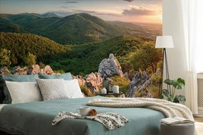 Carta da parati – Natura illuminata dal sole