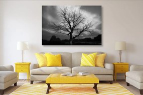 Quadro su tela – Albero sul prato in bianco e nero