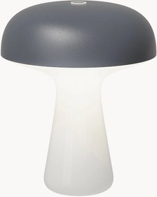 Lampada outdoor piccola portatile a LED con luce regolabile My