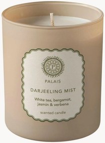 Candela profumata Darjeeling Mist (frutti, limone, erbe aromatiche)