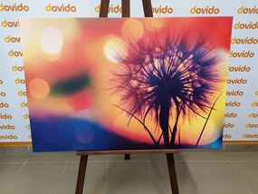 Stampa su tela – Dente di leone luminoso