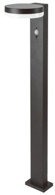 Piantana Solare LED 5.5W con Sensore PIR IP54 Luce Calda 3000K